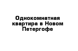 Однокомнатная квартира в Новом Петергофе